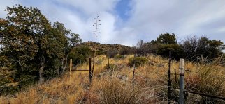 20250214_085459_copy_1200x560.jpg 20250214_085459_copy_1200x560.jpg