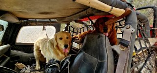 20250214_102809_copy_1200x560.jpg 20250214_102809_copy_1200x560.jpg