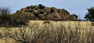 20250210_125029_copy_1600x747.jpg 20250210_125029_copy_1600x747.jpg