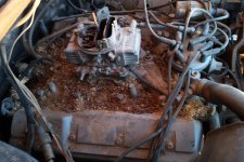 IMG_20250304_183023539 copy.jpg IMG_20250304_183023539 copy.jpg