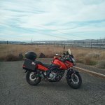 IMG_20250308_131942_657.jpg IMG_20250308_131942_657.jpg