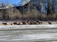 IMG_3096.HEIC.jpg IMG_3096.HEIC.jpg