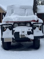 IMG_4530.jpeg IMG_4530.jpeg