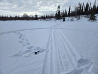 1000025264.jpg 1000025264.jpg