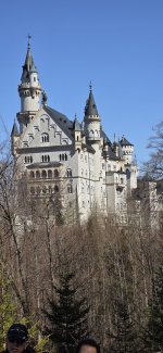 1744146550333.jpeg 1744146550333.jpeg