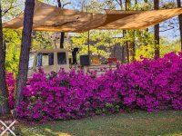 20250409_162804 export.jpg 20250409_162804 export.jpg