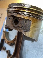 IMG_7010.jpeg IMG_7010.jpeg