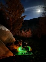 tempImagek5LHwP.jpg tempImagek5LHwP.jpg