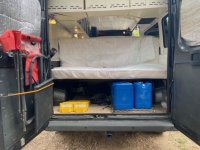 Gracie back inside.jpeg