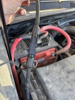 IMG_3904.JPEG IMG_3904.JPEG