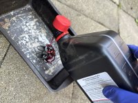 IMG_5406.JPEG IMG_5406.JPEG