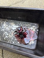 IMG_5407.JPEG IMG_5407.JPEG