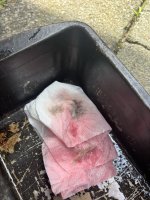 IMG_5408.JPEG IMG_5408.JPEG