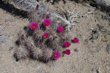 IMG_20250422_132055407 copy.jpg