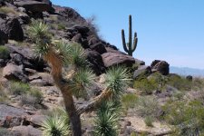 IMG_20250422_133410419 copy.jpg