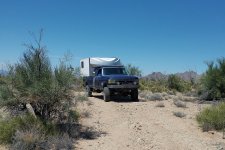 IMG_20250422_133547508 copy.jpg