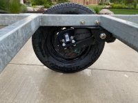 IMG_7992 2 Medium.jpeg