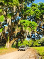 20250417_075124.jpg 20250417_075124.jpg