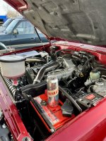 IMG_2382.jpeg
