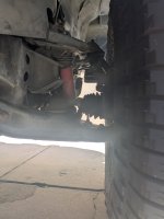 PXL_20250510_182716756.jpg PXL_20250510_182716756.jpg