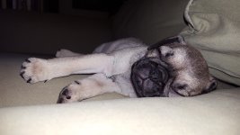 20160605_100258.jpg 20160605_100258.jpg