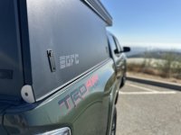 IMG_2018.jpeg