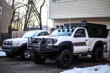 timeless stocko.jpg timeless stocko.jpg