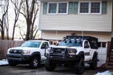 timeless stocko-1.jpg timeless stocko-1.jpg