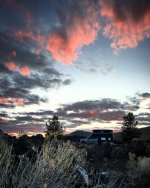 1890792B-7506-4C07-905F-863C8DD850DA Medium.jpeg