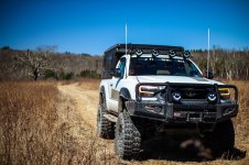 motoant lamb greenwoods-6.jpg motoant lamb greenwoods-6.jpg