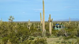 PXL_20230320_154636663 (1).jpg