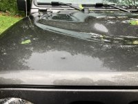 IMG_1258.jpeg