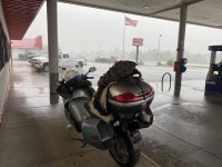 IMG_0334.jpeg