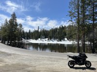 IMG_8355.jpeg IMG_8355.jpeg