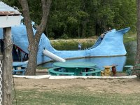 IMG_0338.jpeg IMG_0338.jpeg