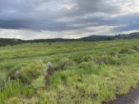 IMG_0360.jpeg IMG_0360.jpeg