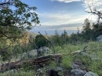 IMG_0387.jpeg IMG_0387.jpeg