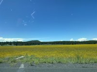 IMG_0415.jpeg IMG_0415.jpeg