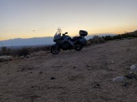 IMG_0442.jpeg IMG_0442.jpeg