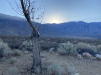 IMG_0465.jpeg IMG_0465.jpeg