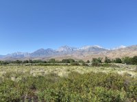 IMG_0480.jpeg IMG_0480.jpeg