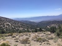 IMG_1033.jpeg IMG_1033.jpeg