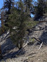 IMG_0508.jpeg IMG_0508.jpeg