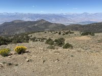 IMG_0515.jpeg IMG_0515.jpeg