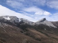 IMG_3931.jpeg