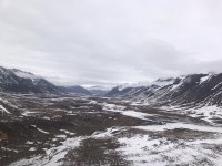 IMG_3935.jpeg IMG_3935.jpeg