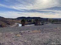 IMG_1304.jpeg IMG_1304.jpeg