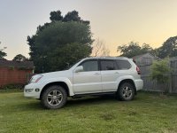 IMG_4320.JPEG