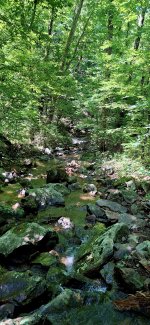 20250608_105731.jpg