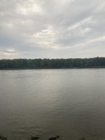 IMG_1980.jpeg IMG_1980.jpeg